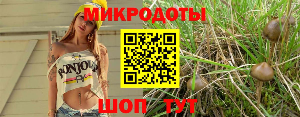 Псилоцибиновые грибы Magic Shrooms Вятские Поляны