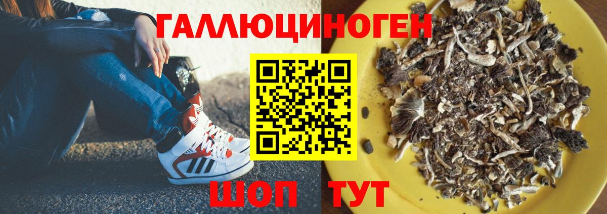 Вятские Поляны  Галлюциногенные грибы ЛСД  Псилоцибиновые грибы Magic Shrooms  где купить   Вход с VPN 
