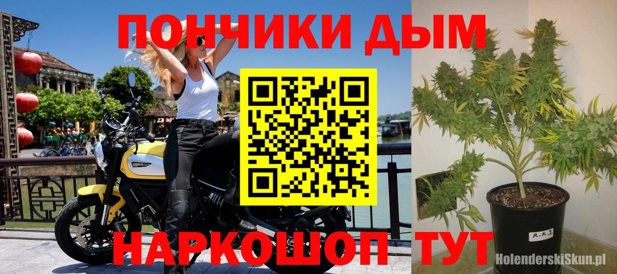 Шишки марихуана план Вятские Поляны